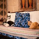 Guest house Revakli Ev