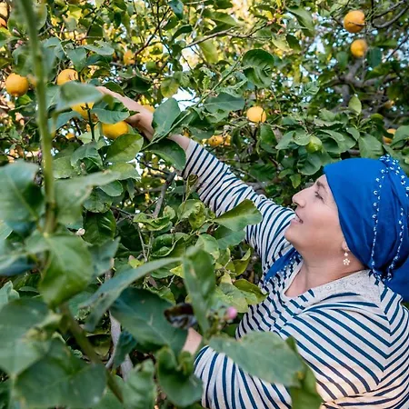 Revakli Ev 3* Rizokarpaso