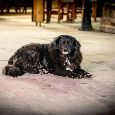 Revakli Ev Pensión 3*