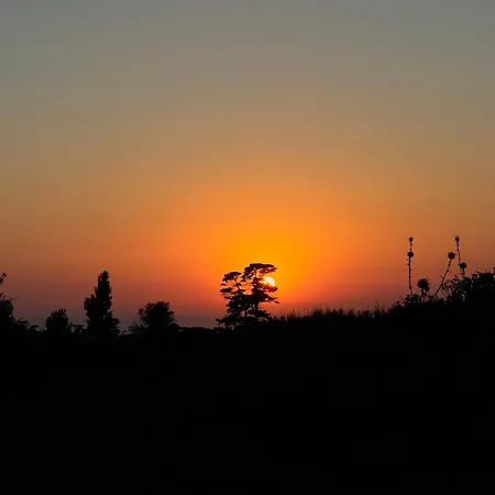 Revakli Ev Rizokarpaso