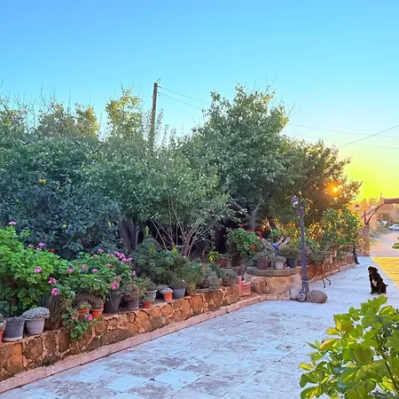 Revakli Ev Rizokarpaso