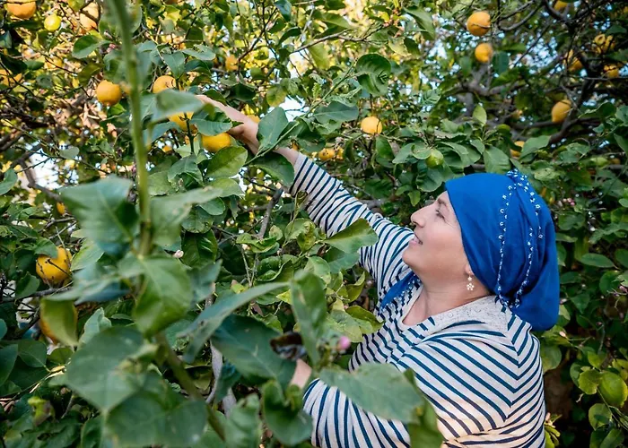 Revakli Ev 3* Rizokarpaso