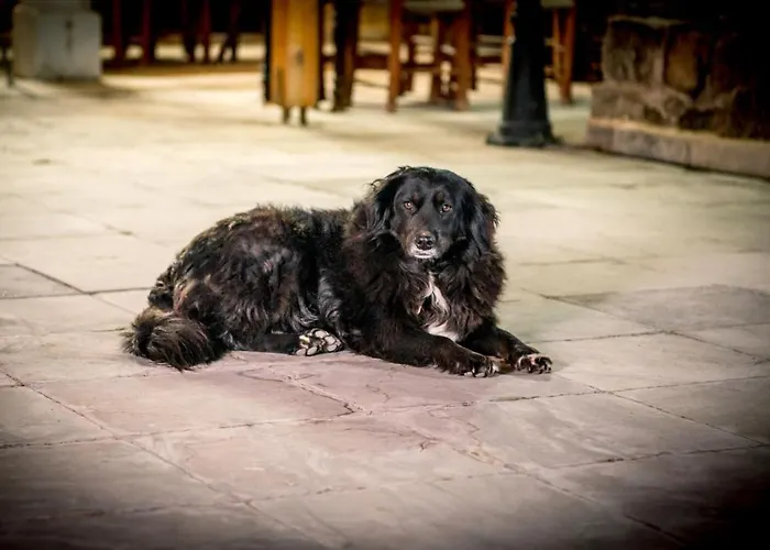 Revakli Ev ゲストハウス 3*