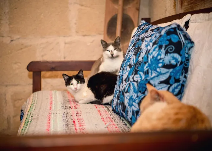 Penzion Revakli Ev Rizokarpaso